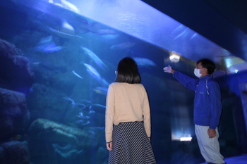 夜の水族館NEWのサムネイル画像のサムネイル画像