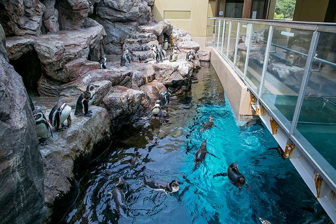 フロア案内:宮島水族館 - みやじマリン