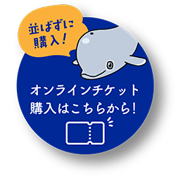 オンラインチケット購入はこちらから！