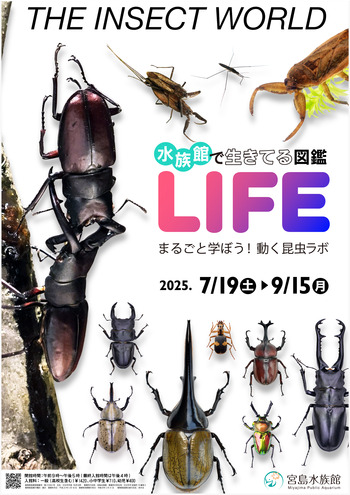 水族館の図鑑.jpgのサムネイル画像