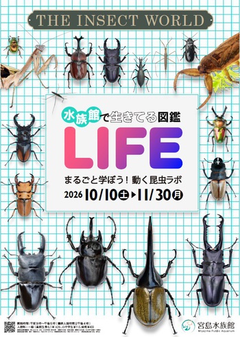 R8.10月企画展ポスター.jpg