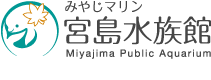 みやじマリン　宮島水族館　Miyajima Public Aquarium