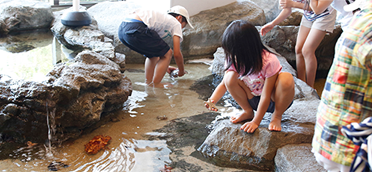 夏季：玩水時間／冬季：觸摸時間