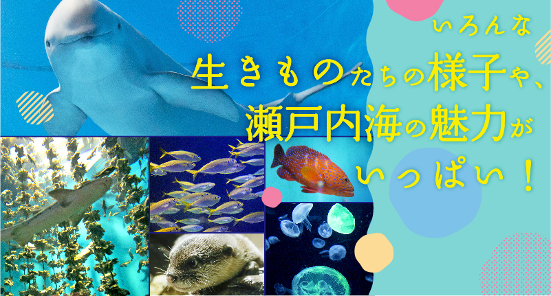 宮島水族館 みやじマリン