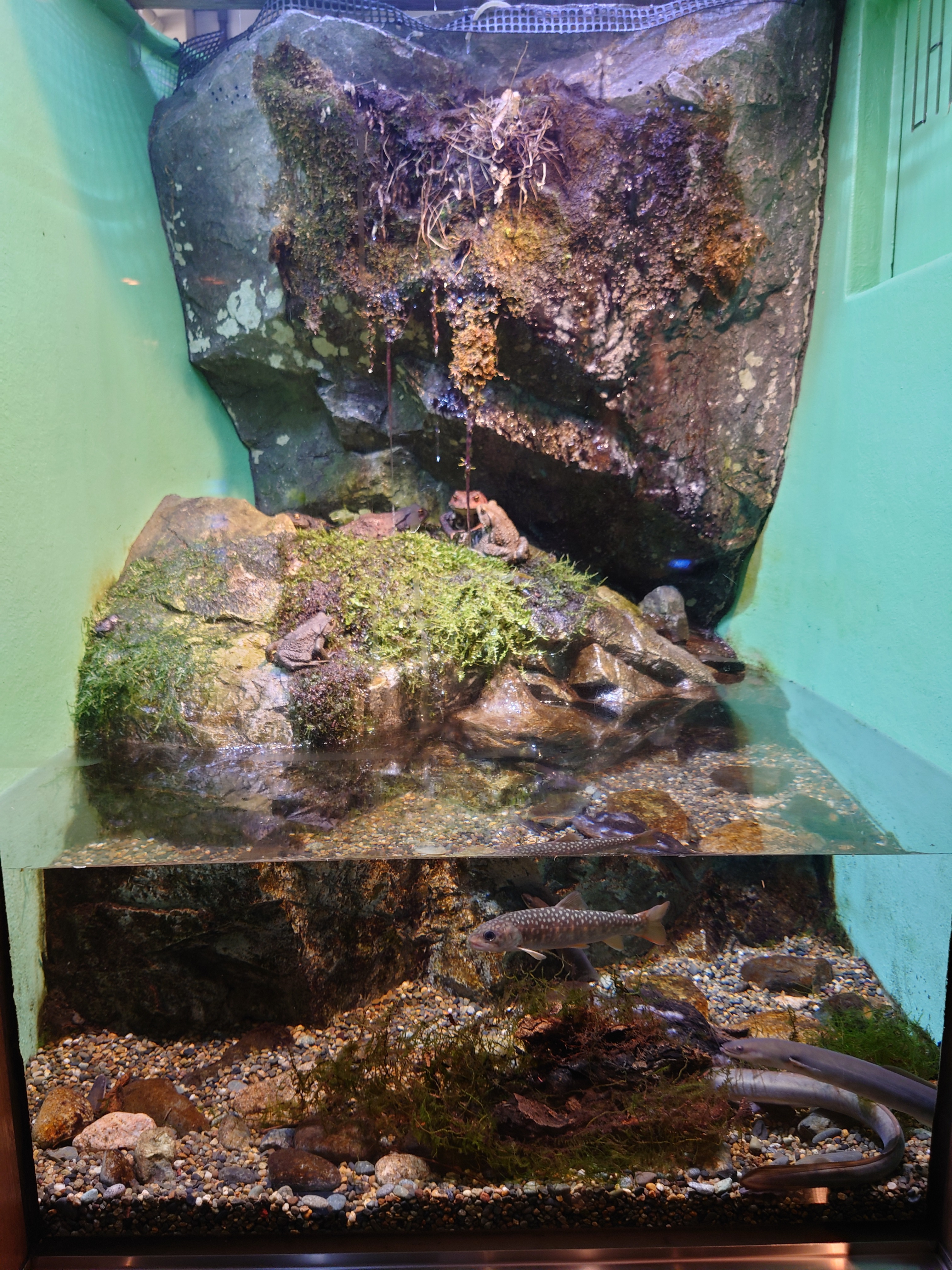 お知らせ：宮島水族館 - みやじマリン