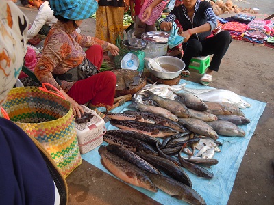 カンボジアの魚類